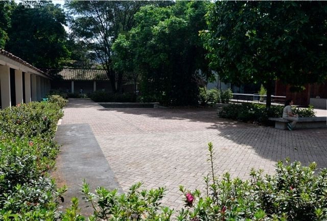 Tu San Agustín - Patio de las Azaleas - Jardín Botánico