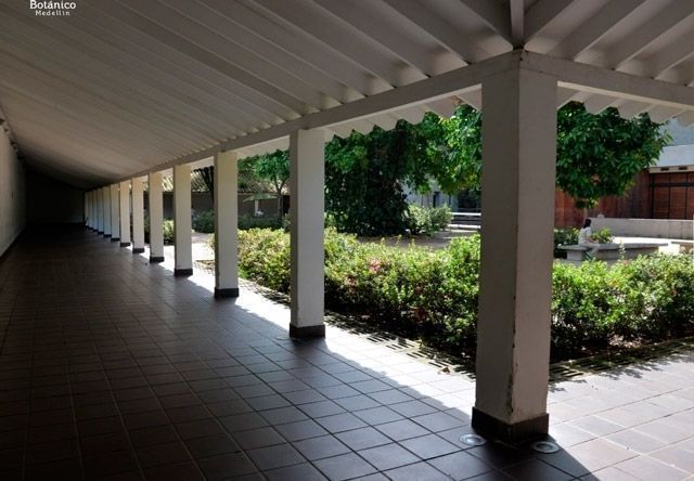 Tu San Agustín - Patio de las Azaleas - Jardín Botánico