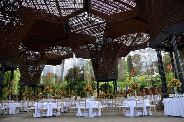 Tu San Agustín - Orquideorama-Jardín Botánico