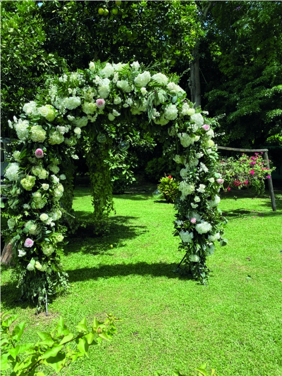 Tu San Agustín - Jardines de Santafé